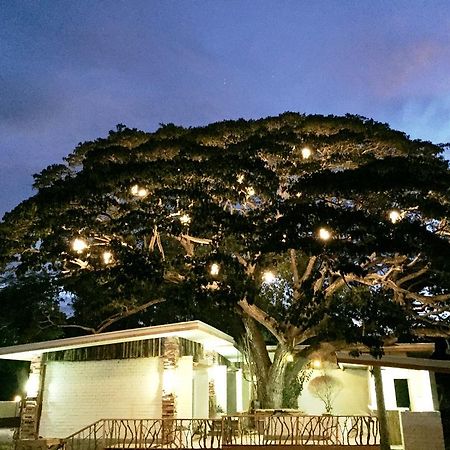 Serviced Apartments By Eco Hotel Bohol Panglao Exterior foto