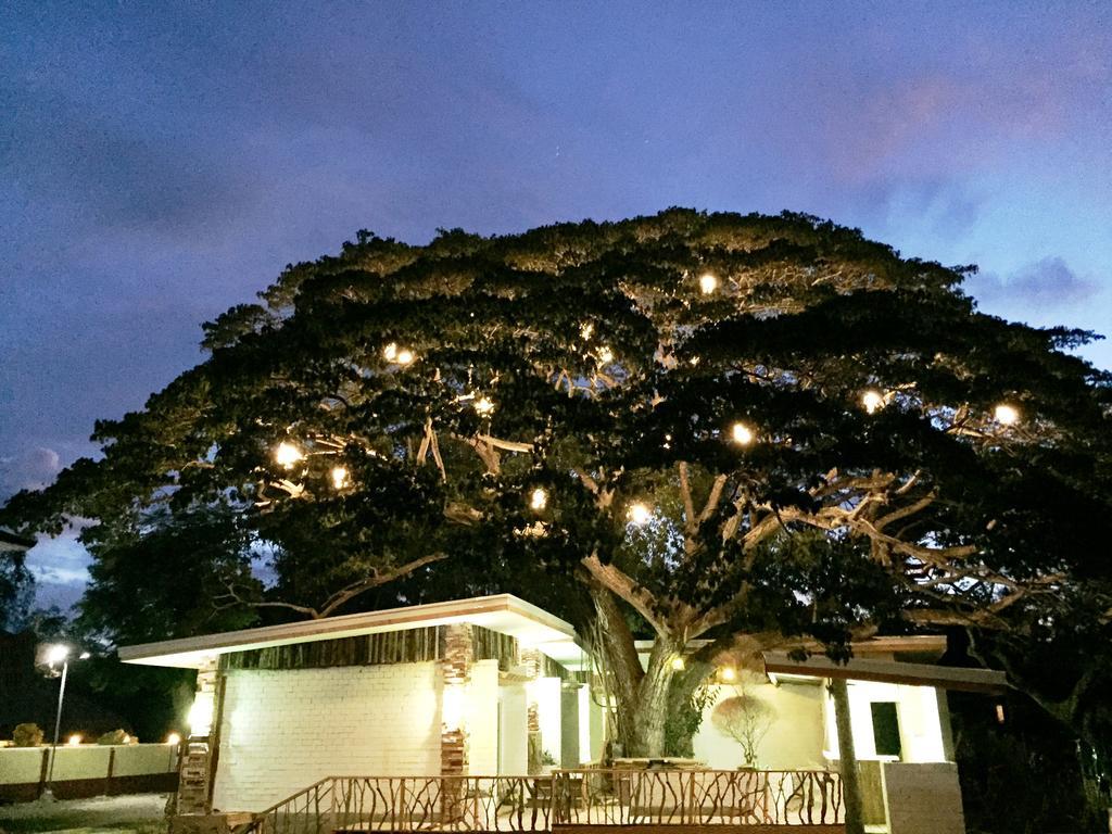 Serviced Apartments By Eco Hotel Bohol Panglao Exterior foto